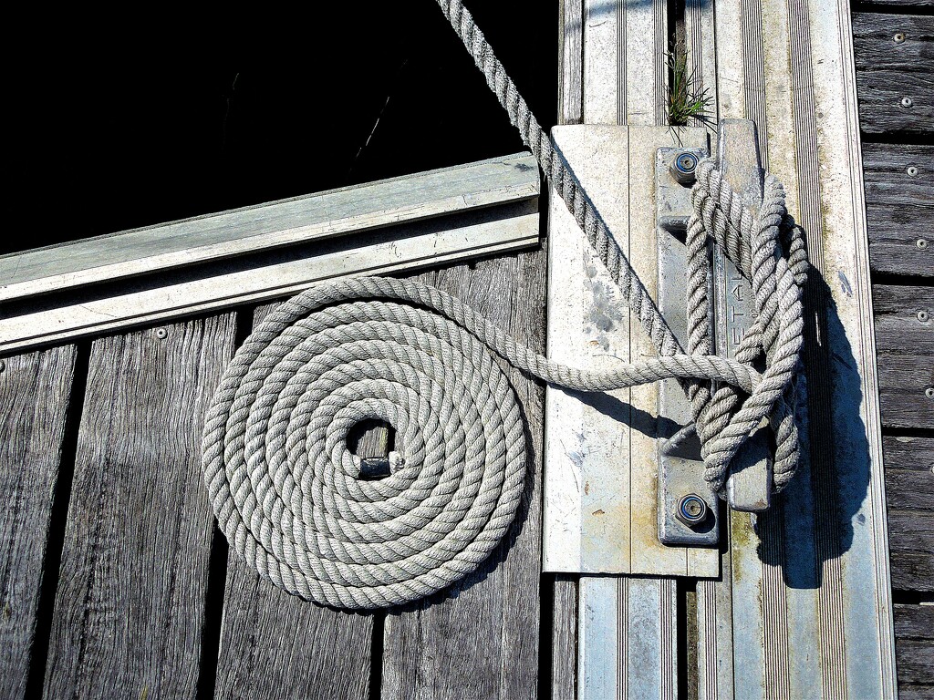 Mooring knot by etienne