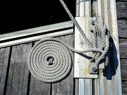 23rd Aug 2021 - Mooring knot