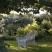 An invitation to sit in Kathy Browns garden by helenhall