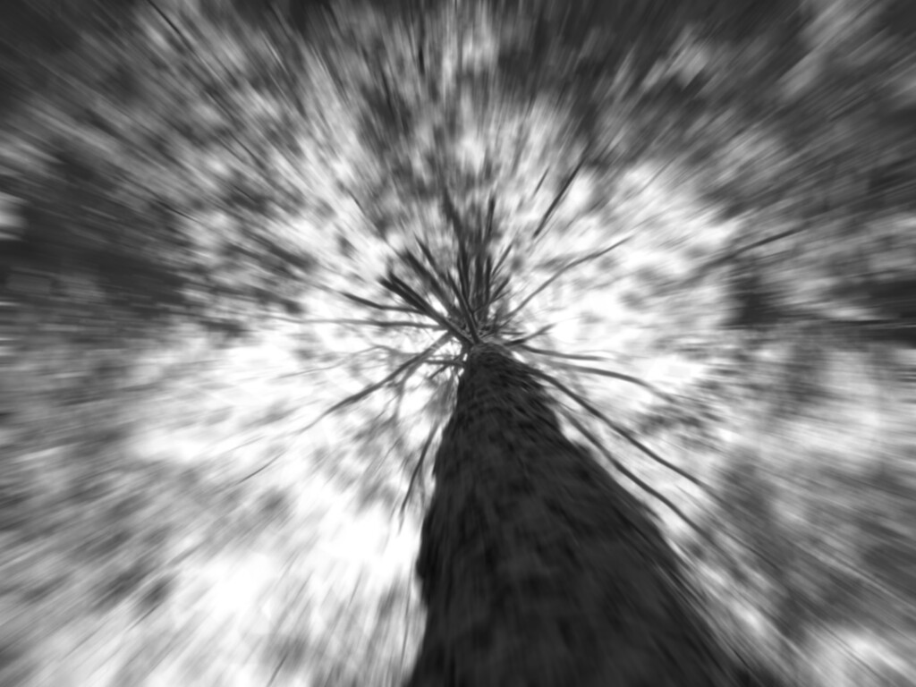 Radial blur... by marlboromaam