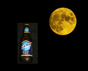 23rd Aug 2021 - Blue Moon