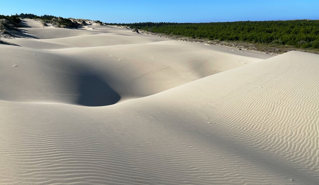 Dunes by jgpittenger