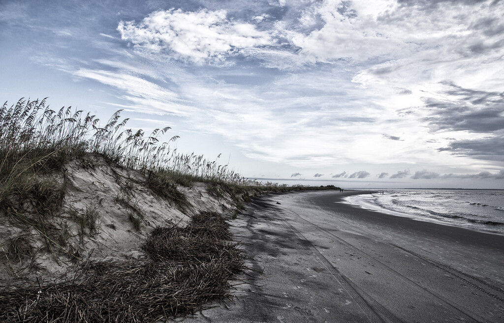 Beach Dunes by pdulis