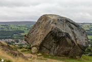 20th Aug 2021 - Calf of Cow and Calf, Ilkley Moor