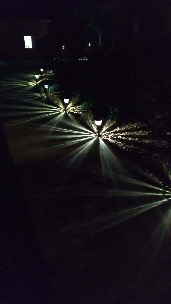 Pretty Sidewalk Lights by julie