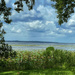 Lake Seminole View by k9photo