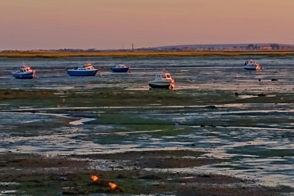 Golden Hour and Spring Low Tide  by 30pics4jackiesdiamond