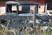 24th Aug 2021 - Old Ford Truck