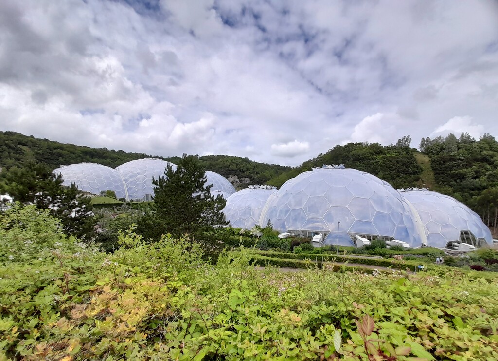 The Eden Centre Domes by judithdeacon