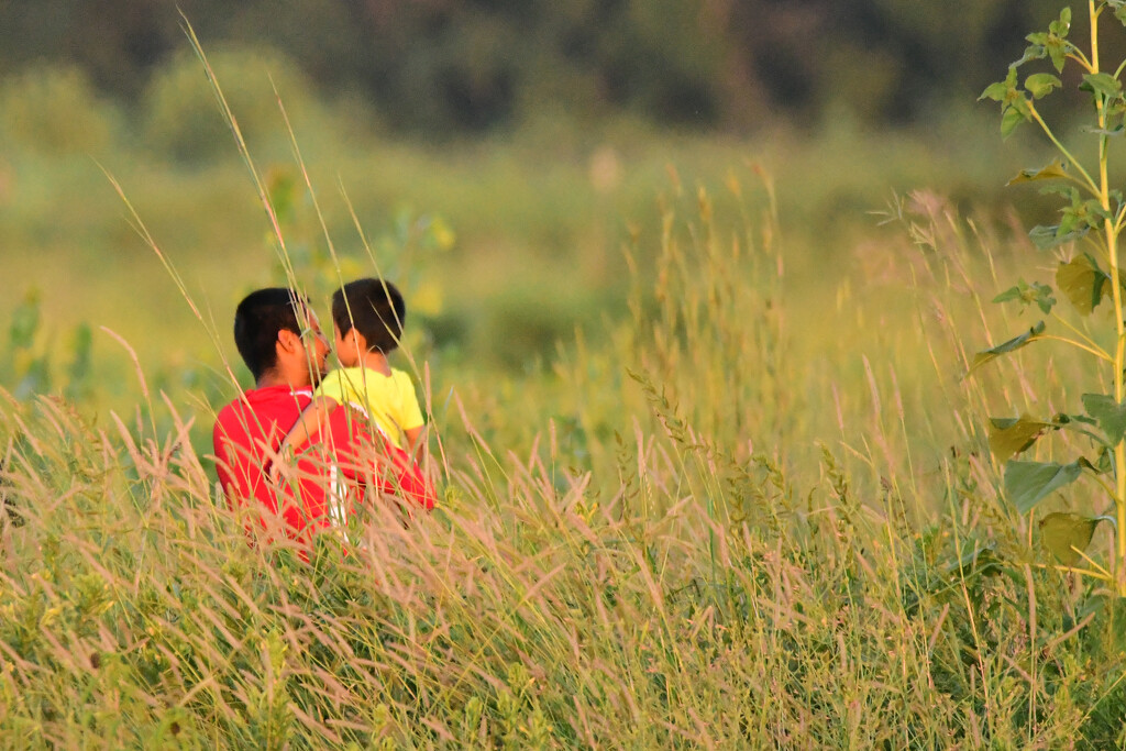 Father and Son Enjoy Nature by kareenking
