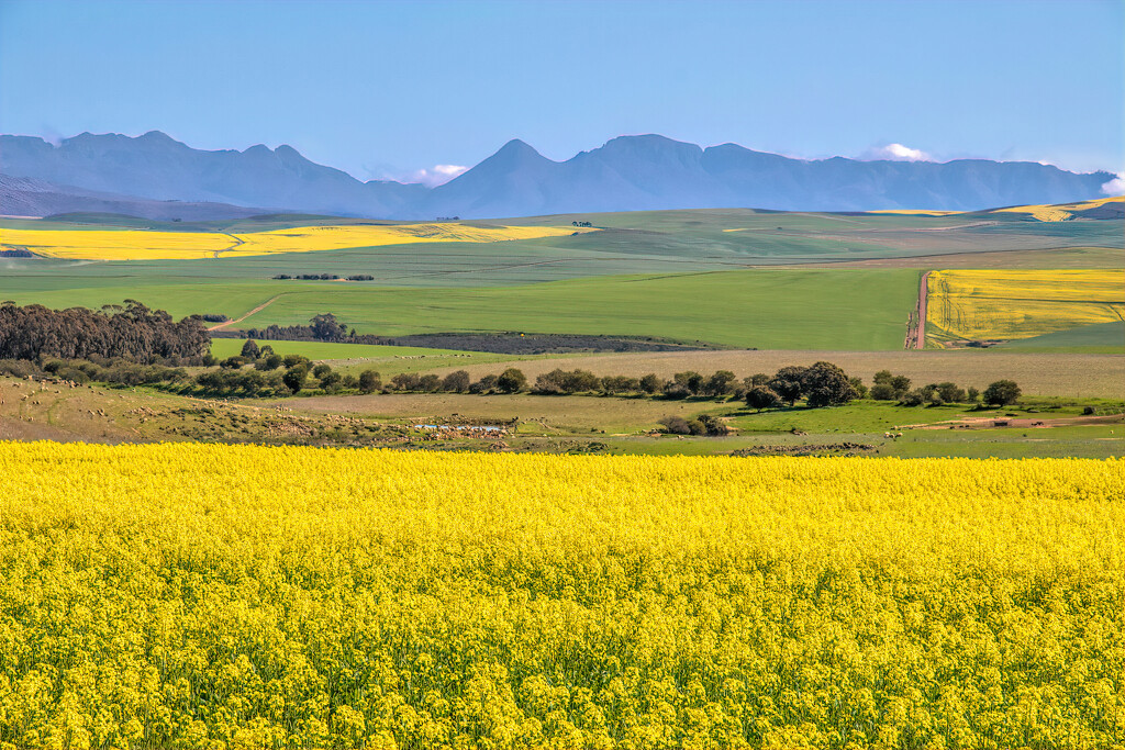 The  Overberg  by ludwigsdiana