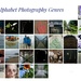 Photographic Genres my Alphabet August by 30pics4jackiesdiamond