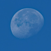 26th Aug 2021 - Sturgeon moon