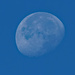 Sturgeon moon by rminer