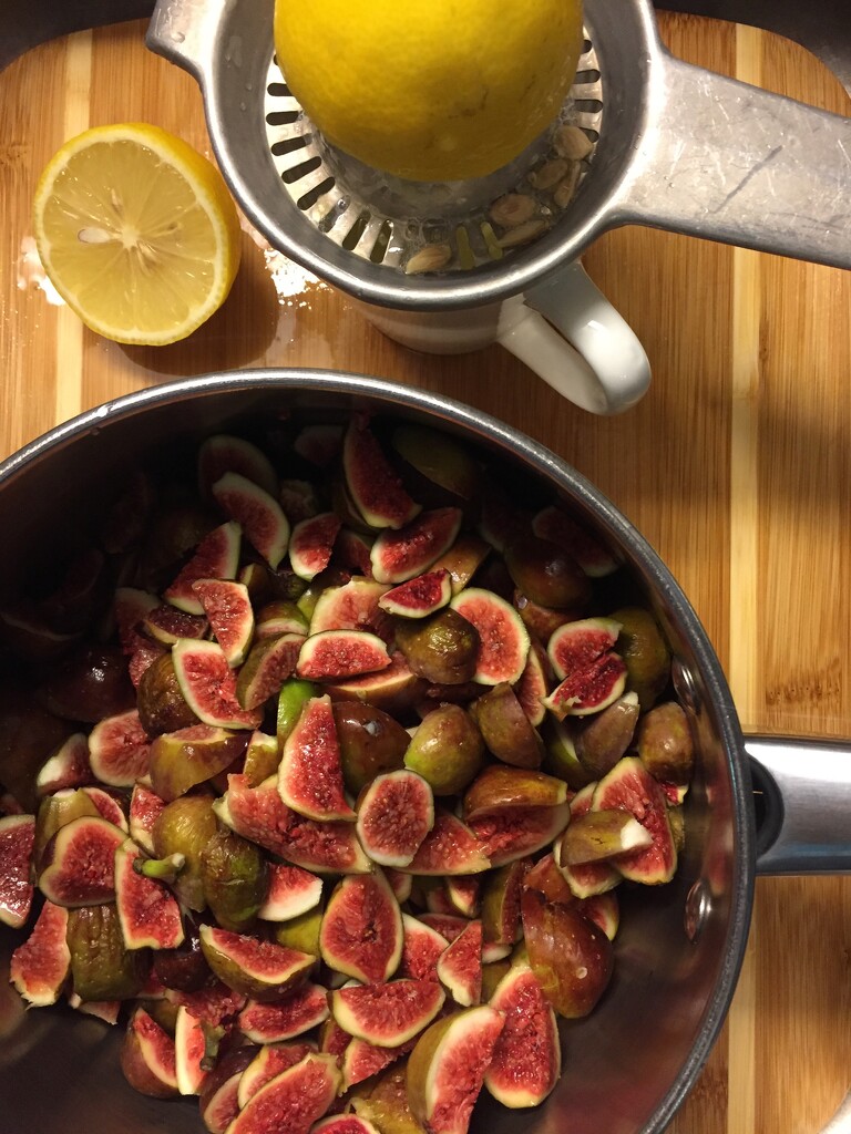 Making Fig Jam by margonaut