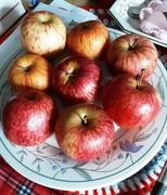 27th Aug 2021 - Eight Apples on a dinner plate