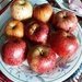 Eight Apples on a dinner plate by grace55