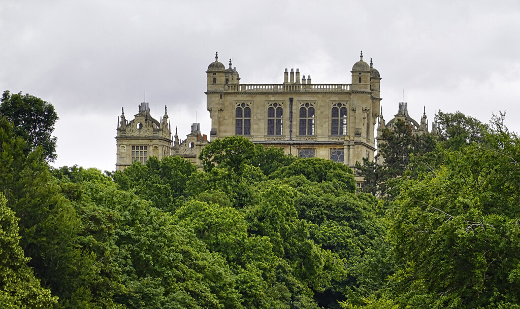 Wollaton Hall Above The Trees by tonygig