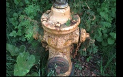 27th Aug 2021 - An old hydrant 