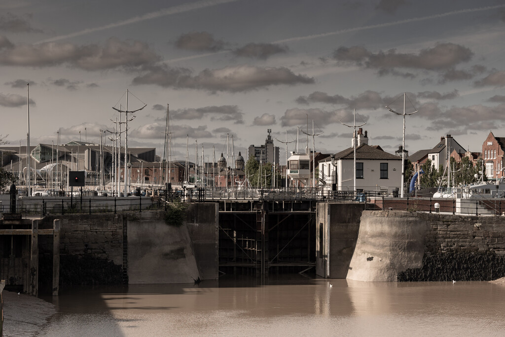 Hull Marina by peadar