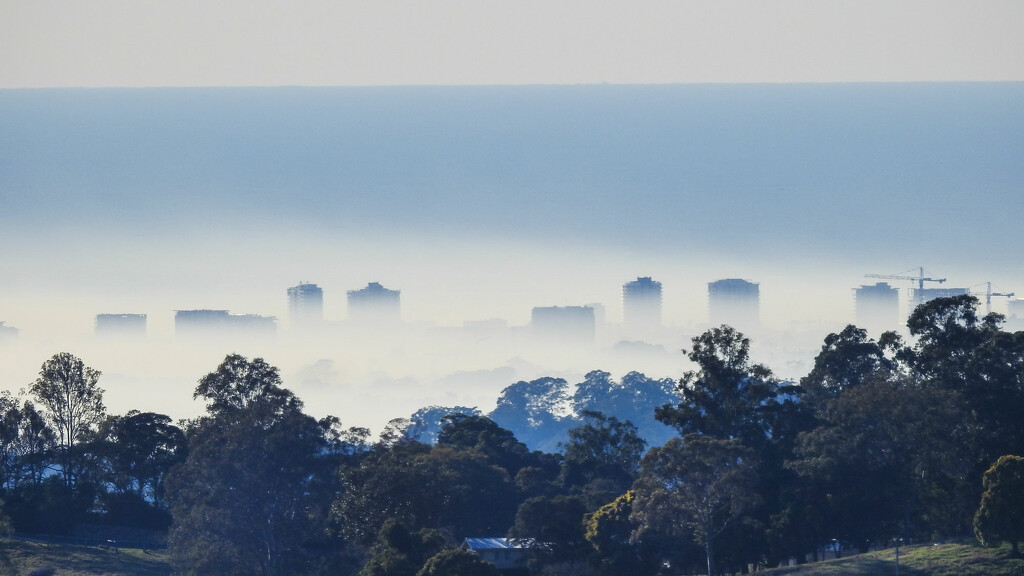 Maroochydore in fog by jeneurell