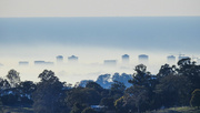 28th Aug 2021 - Maroochydore in fog
