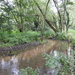 River Leen Papplewick by oldjosh