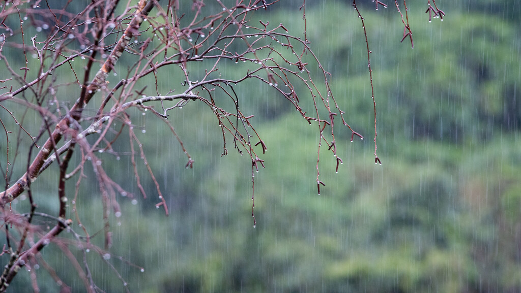 Rain and Rain by yaorenliu