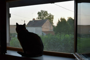 27th Aug 2021 - at the window