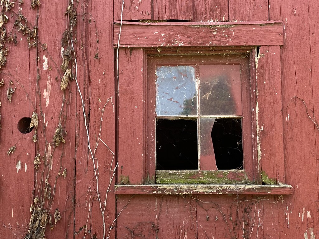 Old barn window by tunia