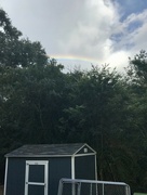 27th Aug 2021 - Rainbow Over our Shed