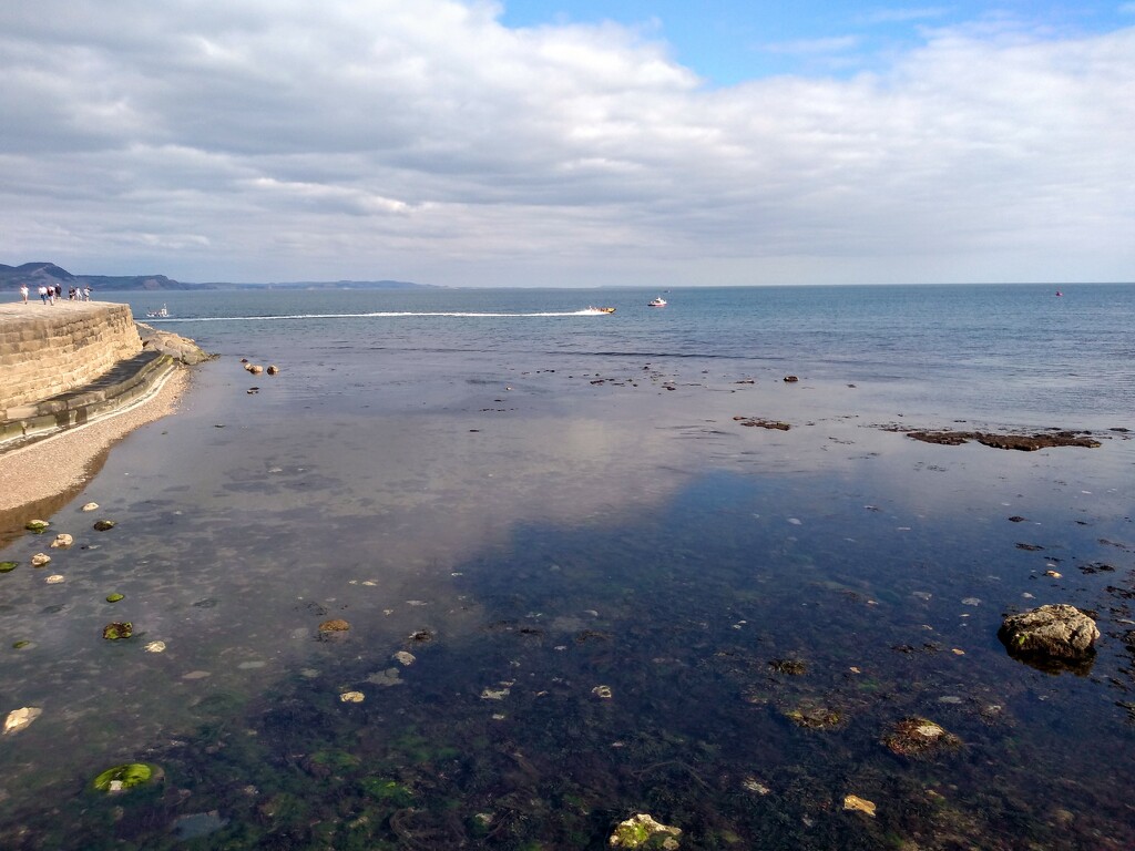 The Cobb - Lyme Regis by moirab