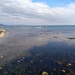The Cobb - Lyme Regis by moirab
