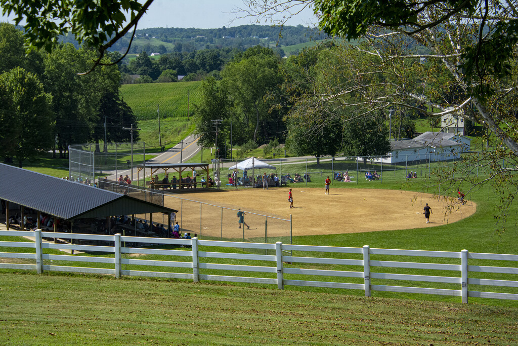 Amish Softball by cwbill