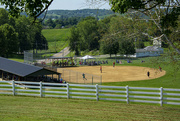 28th Aug 2021 - Amish Softball