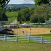 Amish Softball by cwbill