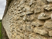 29th Aug 2021 - 1156 AD wall to priory that was ‘fixed’ after being in ruins. 