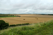 21st Aug 2021 - Wiltshire countryside....
