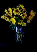 30th Aug 2021 - Sunflowers 