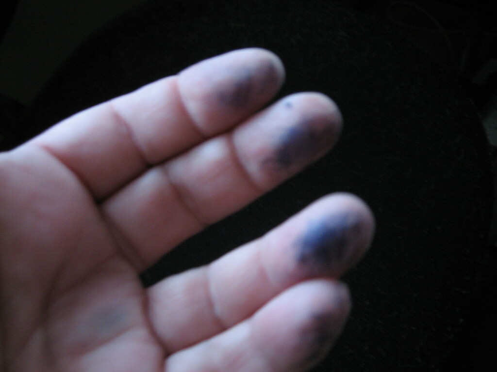 Ink #4: Inky Fingers by spanishliz