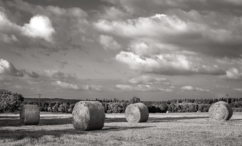 Straw Bales by vignouse