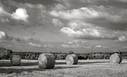 30th Aug 2021 - Straw Bales