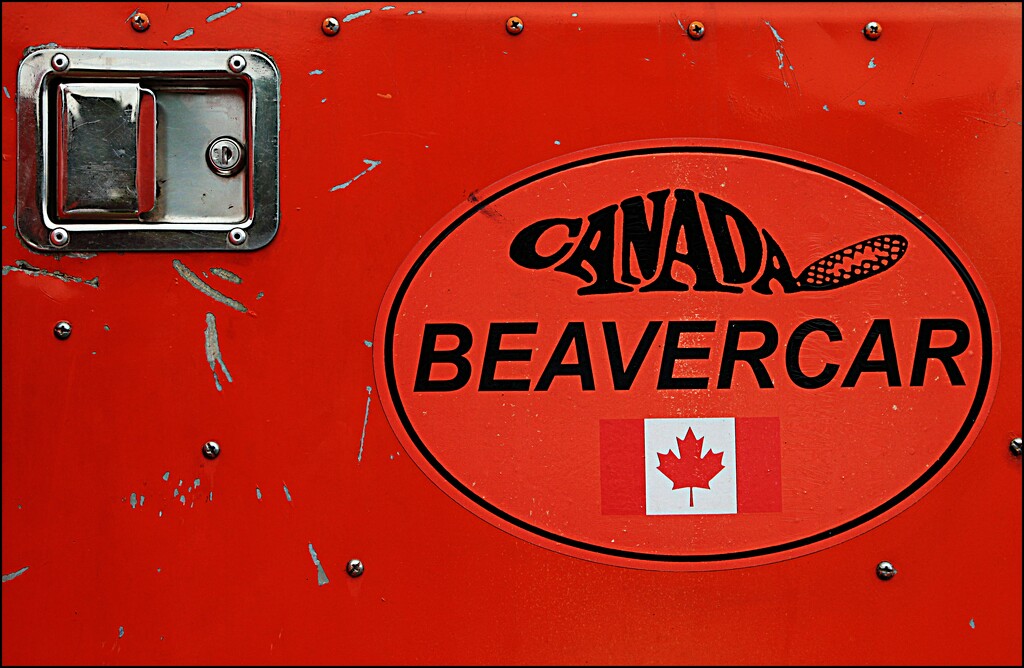 Beaver Car by olivetreeann