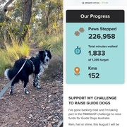 31st Aug 2021 - We completed Pawgust 