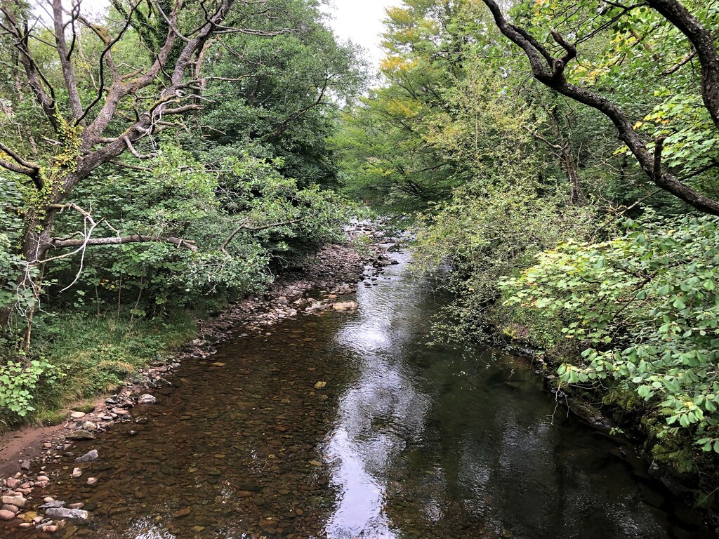  River Tawe at Abercrave, Brecon Beacons by susiemc