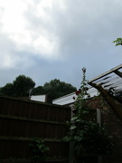 8th Aug 2021 - Not exactly summery weather!