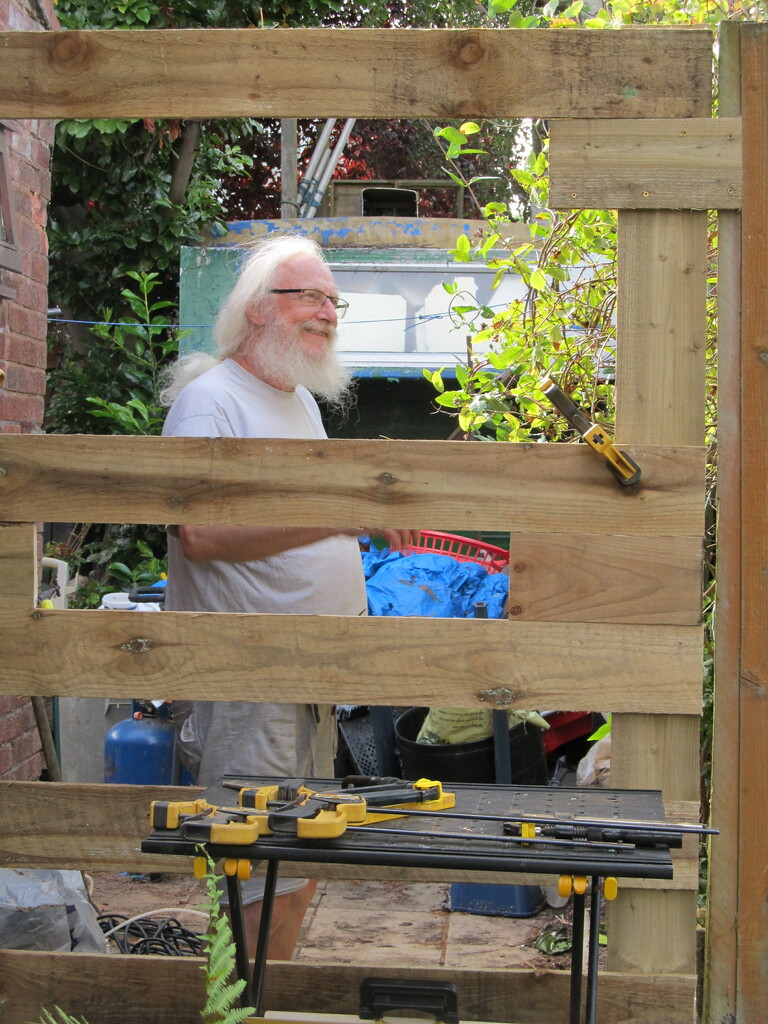 Replacing the garden gate by speedwell