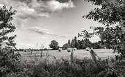 31st Aug 2021 - Straw Bales 2