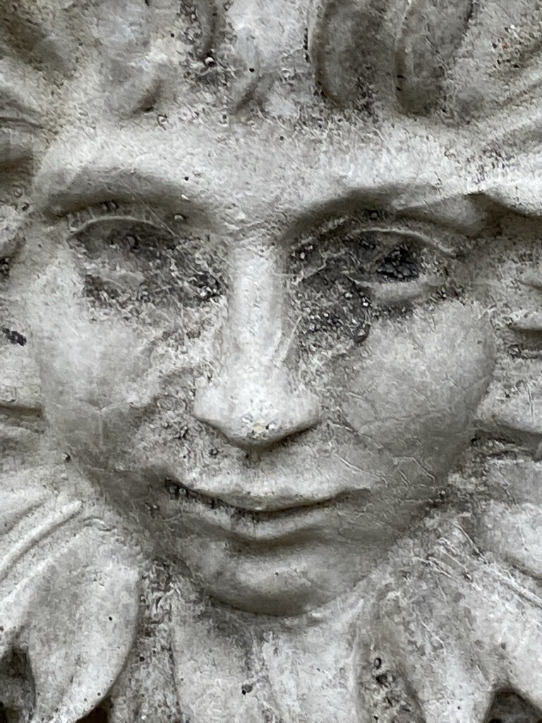 stone face by cam365pix