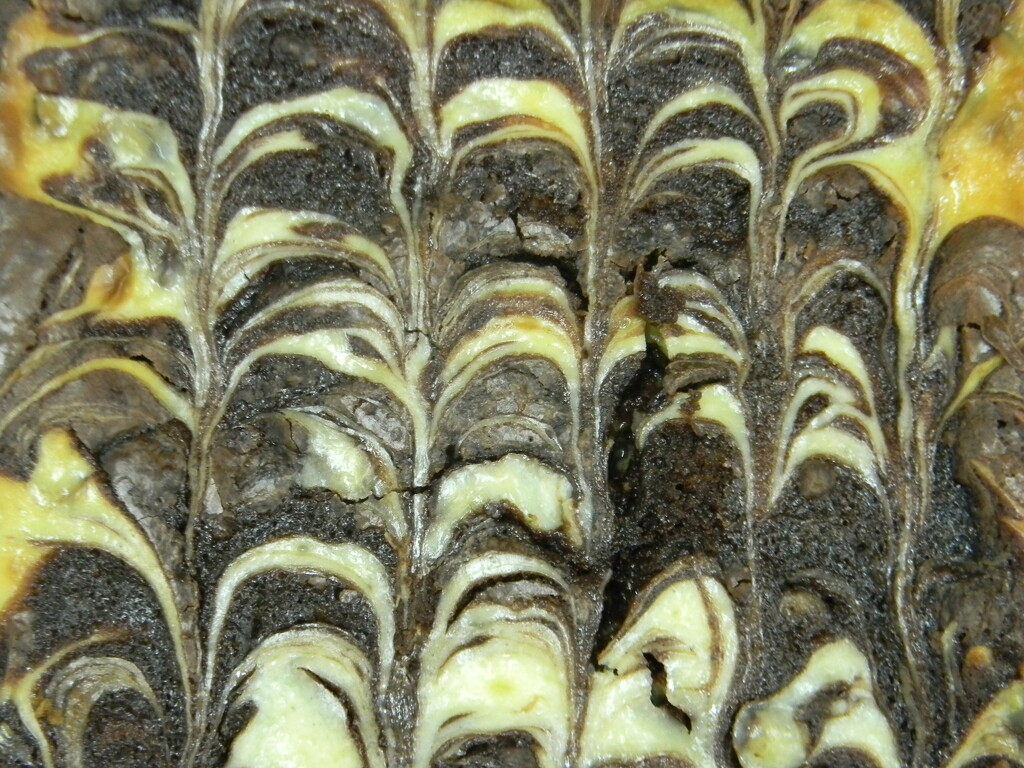 Cheesecake Brownies by sfeldphotos